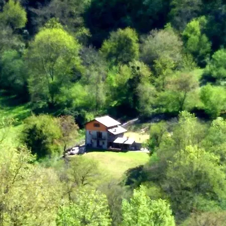 Eleonora * ארגגנו