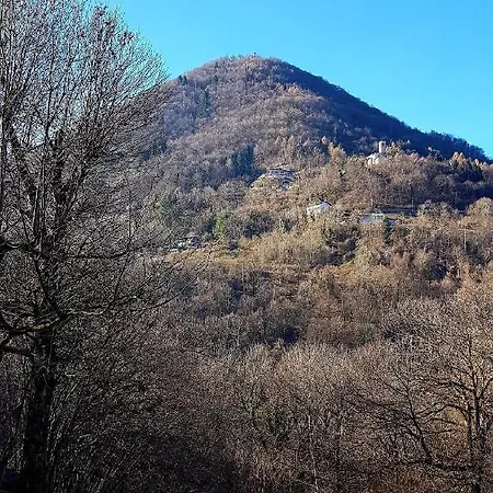 Eleonora آرجينيو