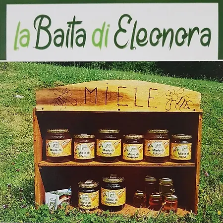 Eleonora Farm stay