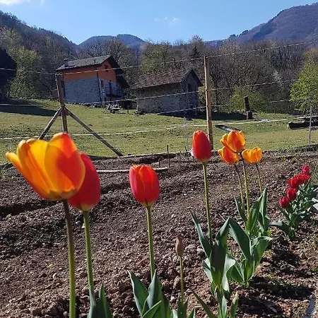 Alloggio per agriturismo La Di Eleonora