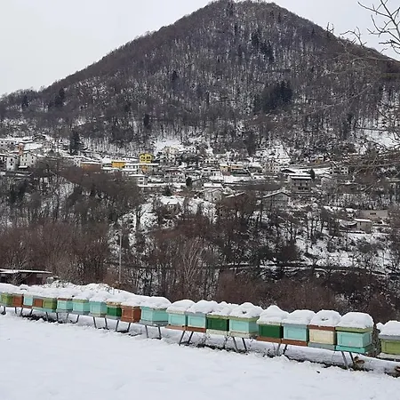 Farm stay Eleonora *